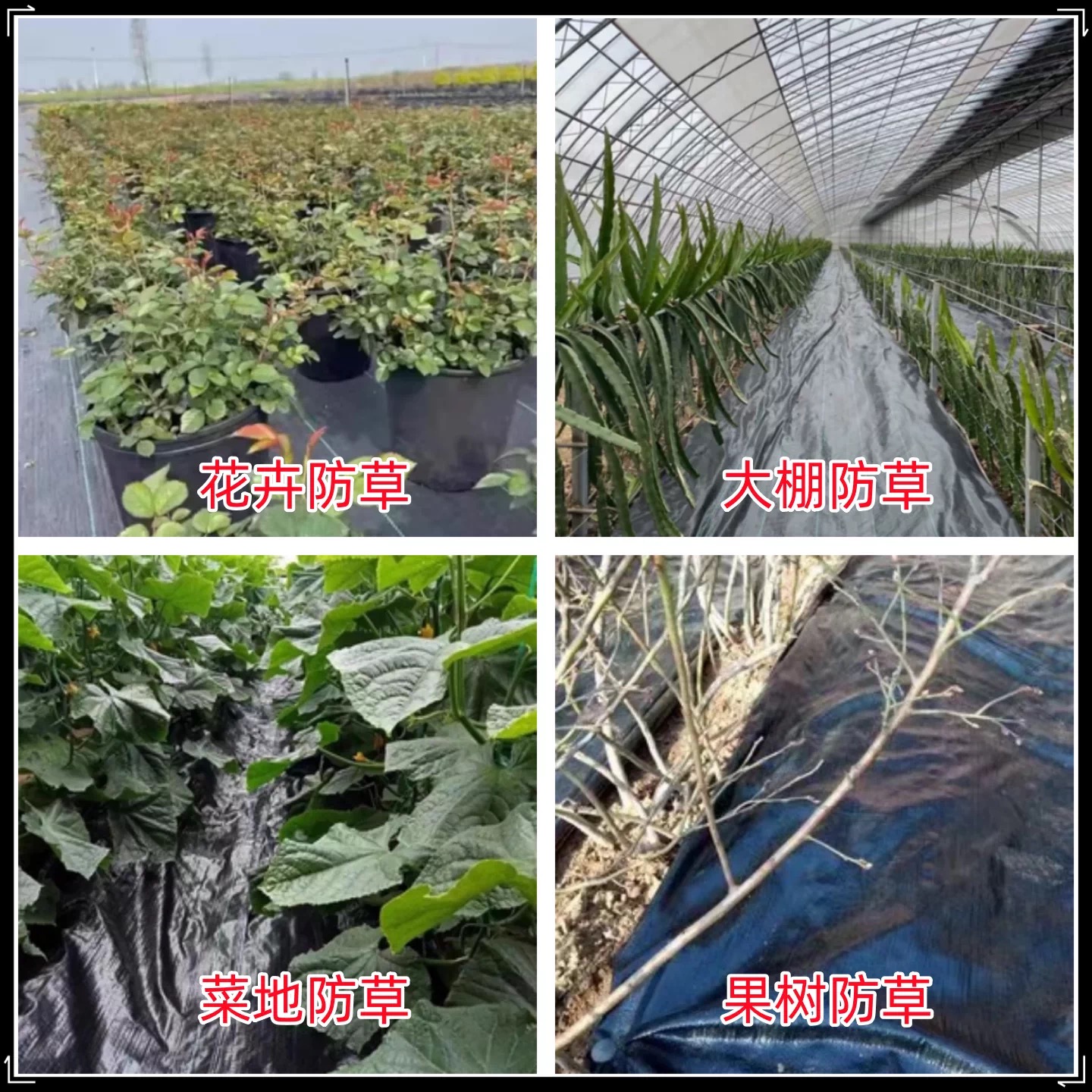渭南市农用薄膜防草布 - 一站式服务