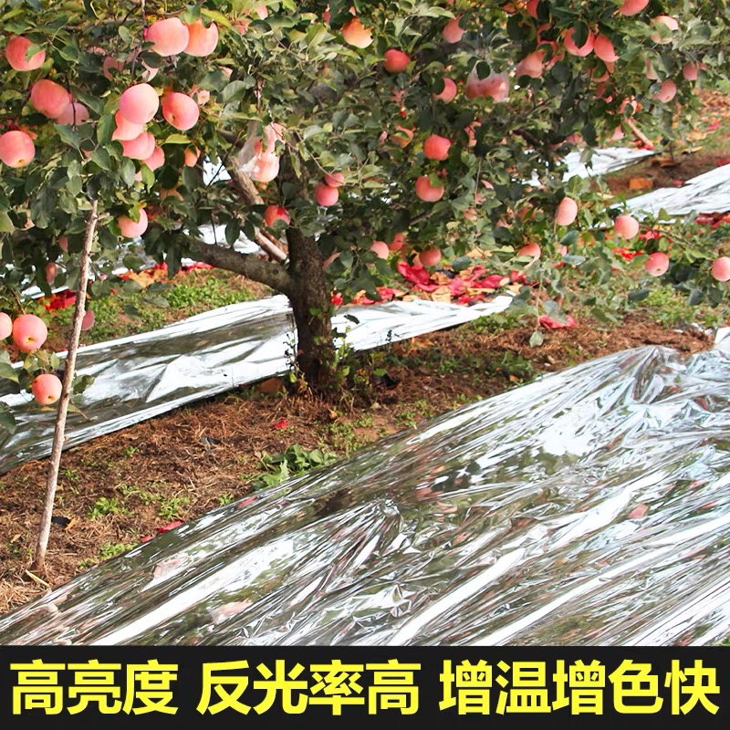 渭南市农用薄膜果树反光膜 - 价格